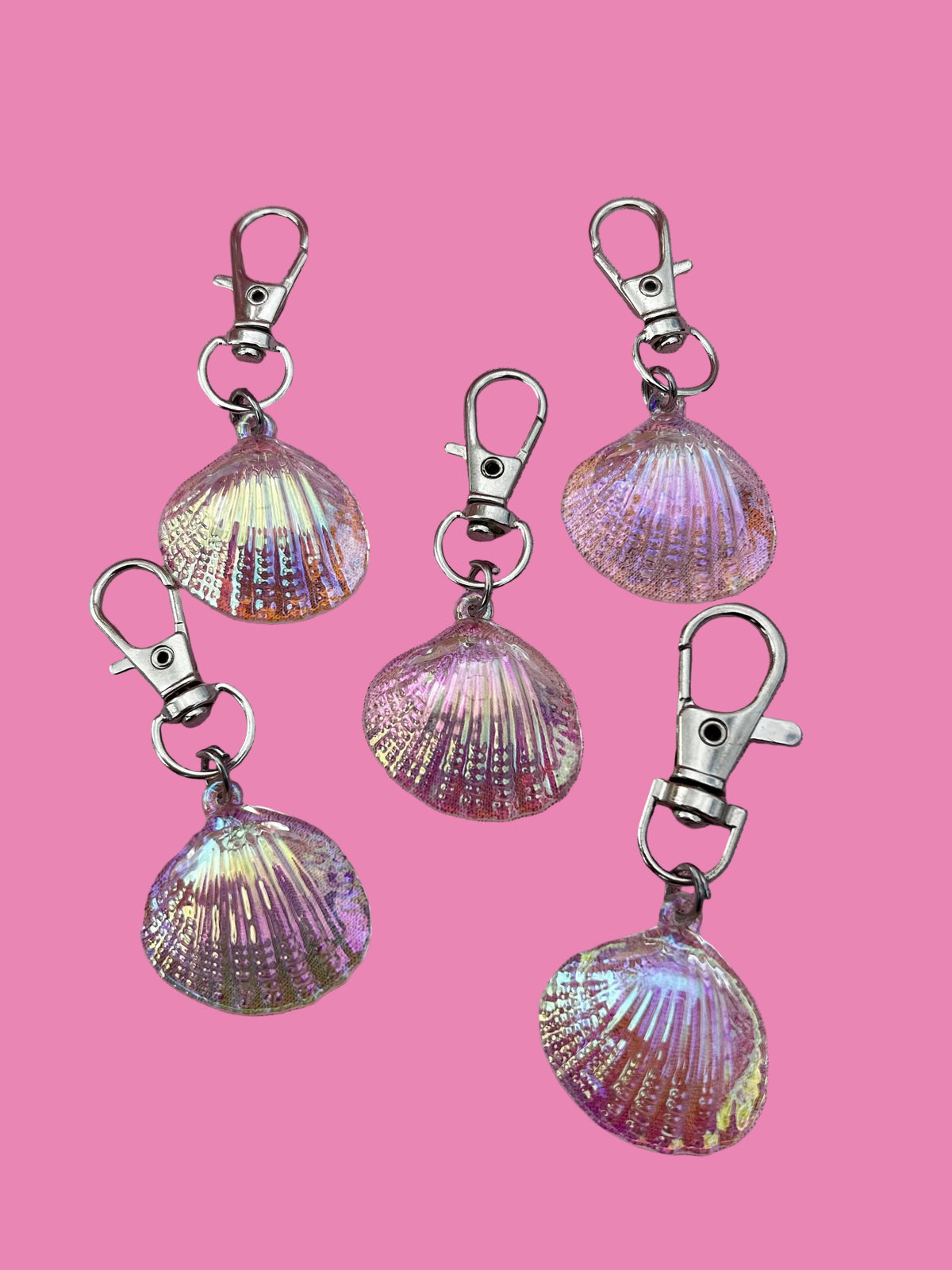 Sea Shells